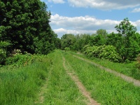 IMG_6036.jpg, 32kB